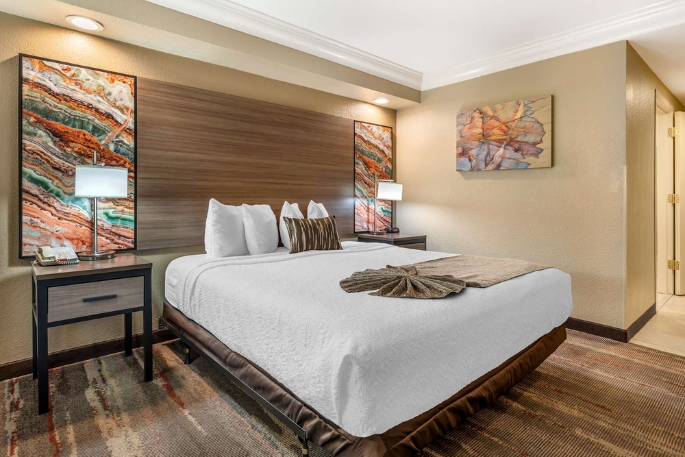 Jetted Tub | Suite-1 King Bed